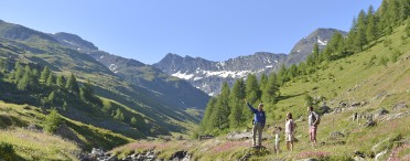 SUMMER IN THE MOUNTAINS SUMMER IN THE MOUNTAINS