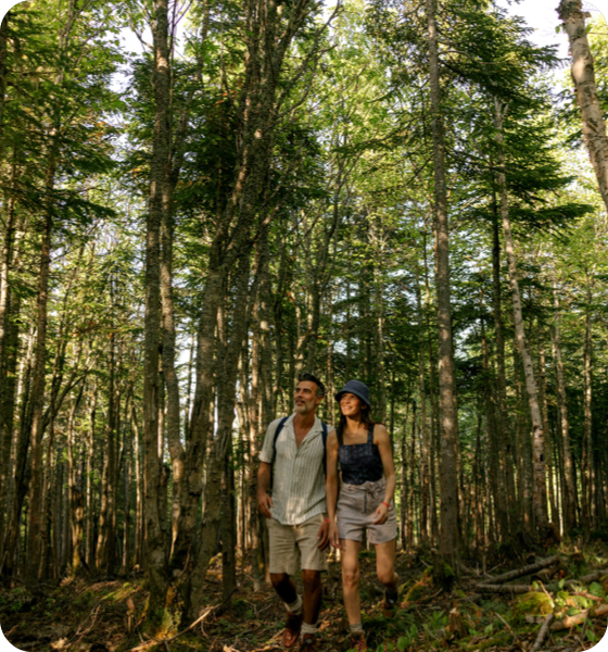 20240301-SPRING-SUMMER-GETAWAYS-EMAILER-T6.png