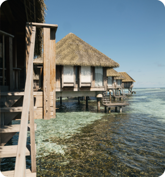 20241017-EAF-SUMMER-25-LAST-DAY-EMAILER-T4.png