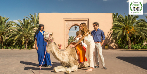 Marrakech 4T, Marruecos