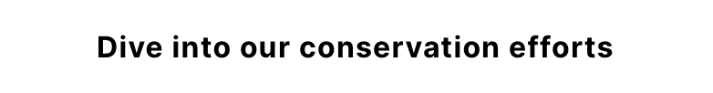 20240422-HTC-EARTH-DAY-EMAILER-BT1.png