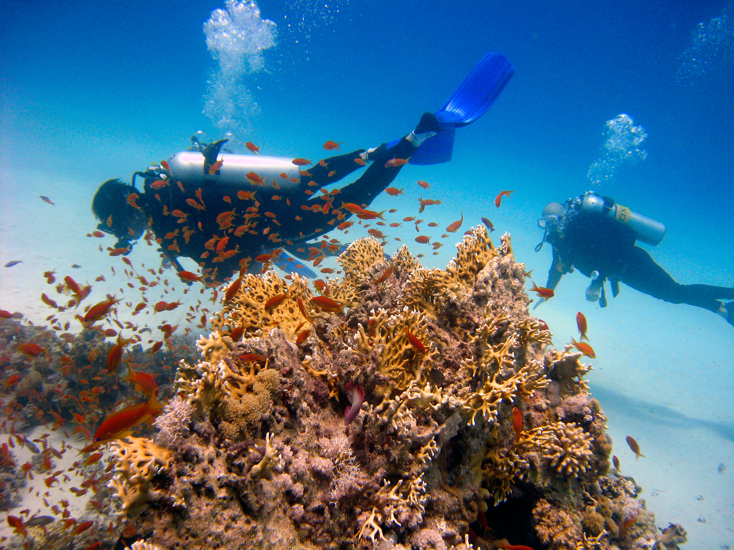 Cozumel