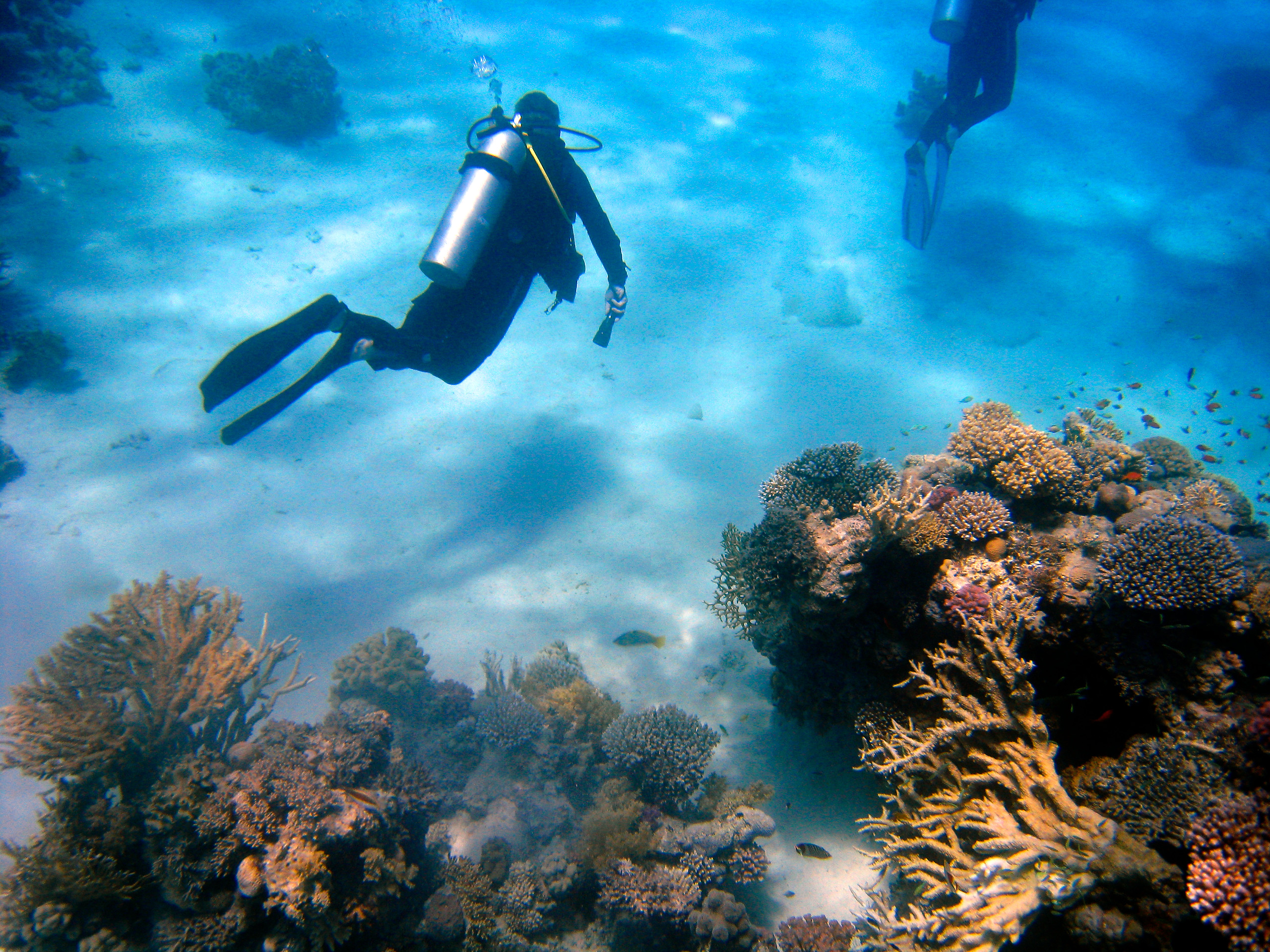 Plongée dans une Cenote