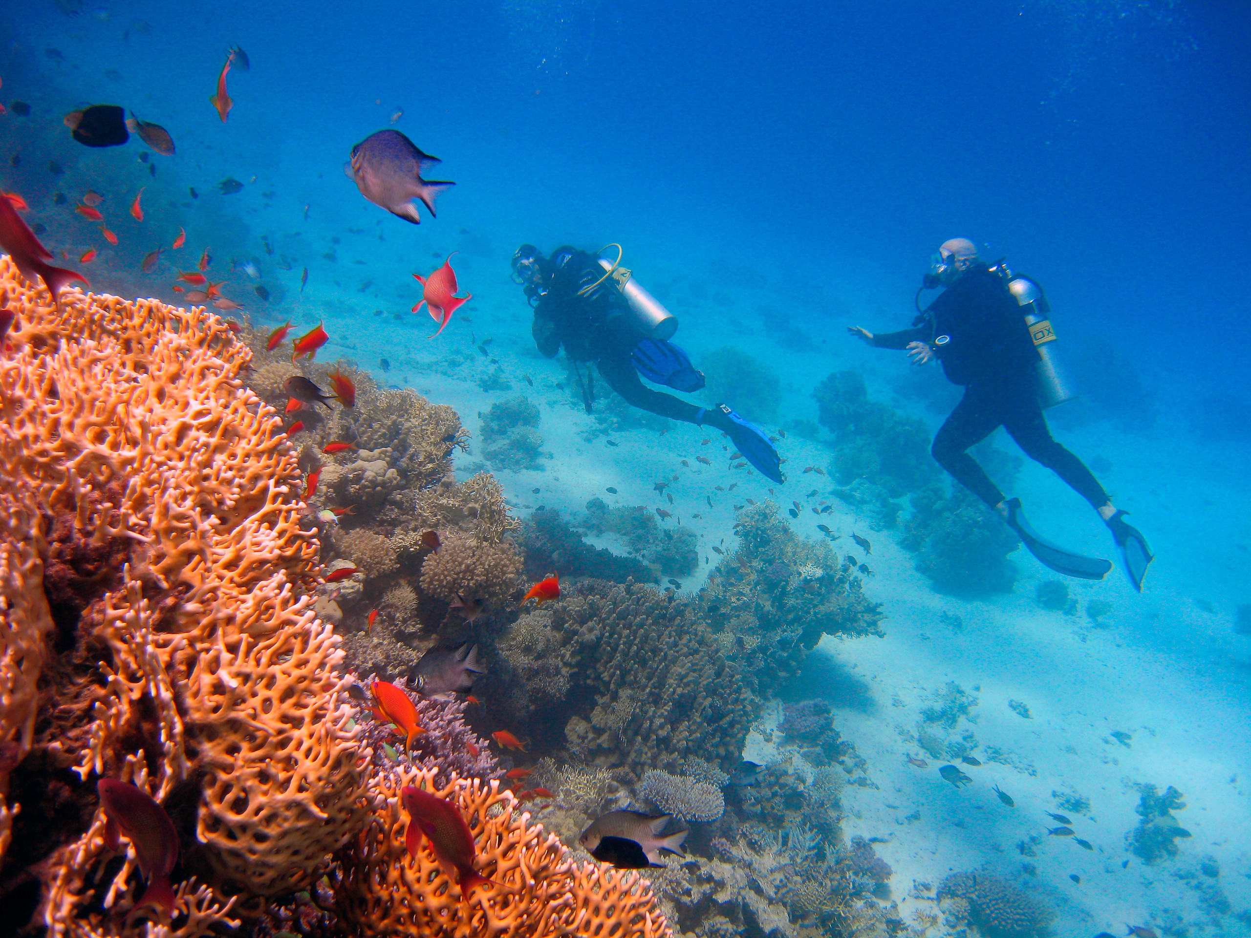 Forfait plongeur débutant - PADI Open Water Diver