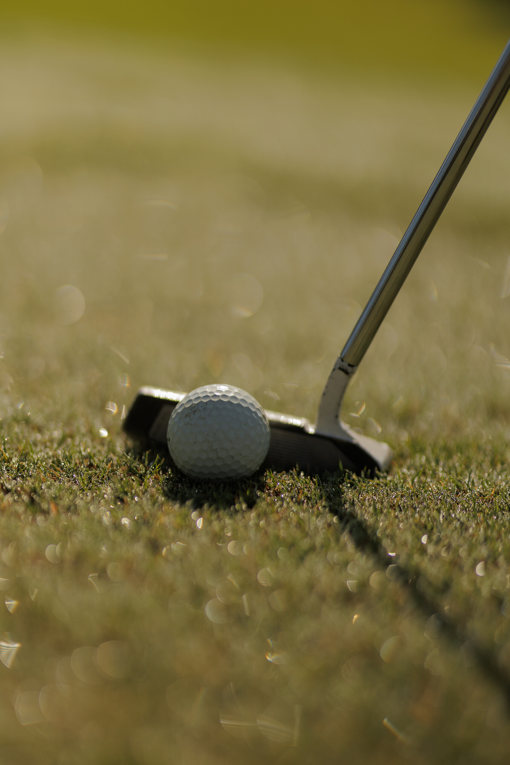 Stage de perfectionnement de golf - 5 jours