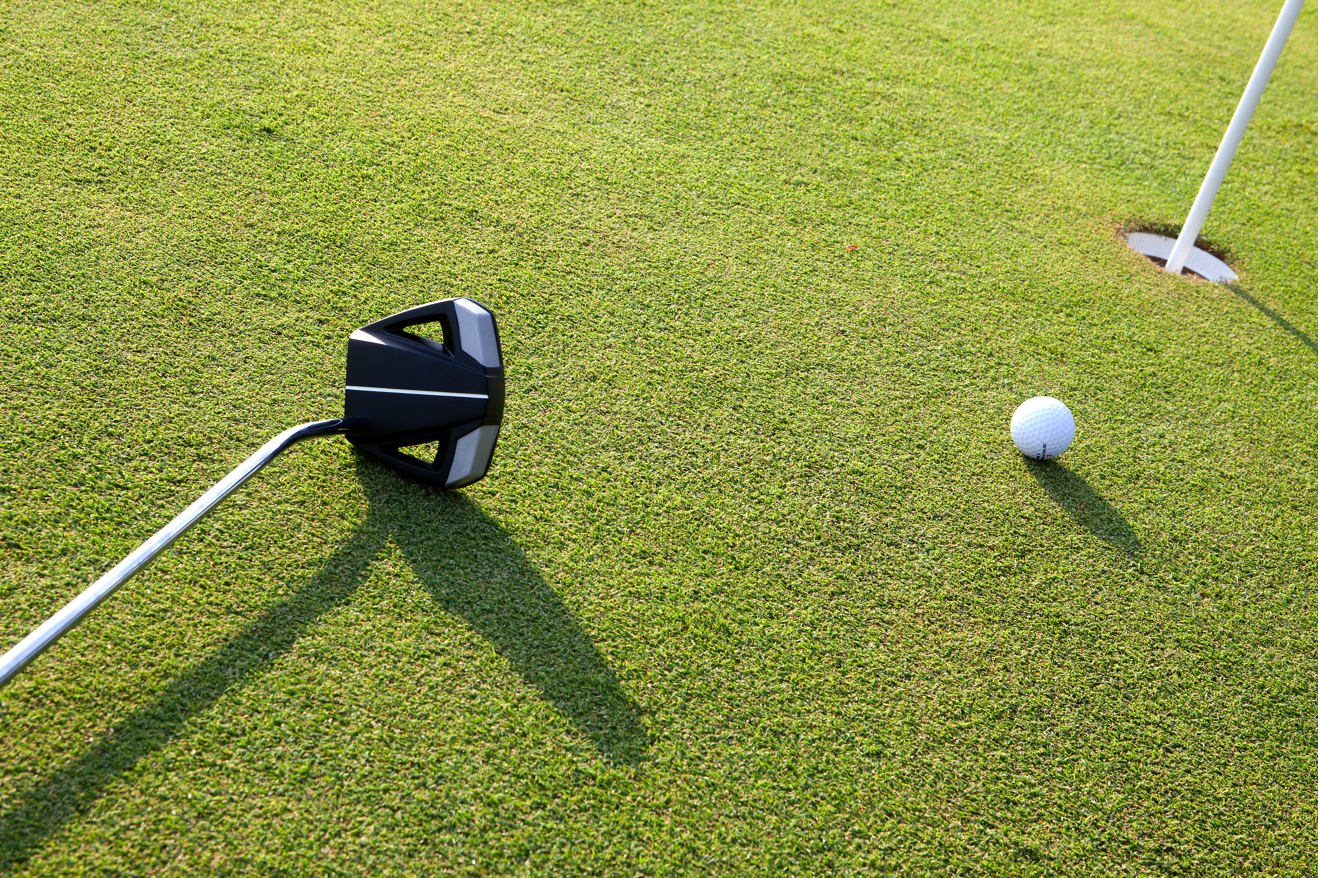 Golf au paradis - Green fee