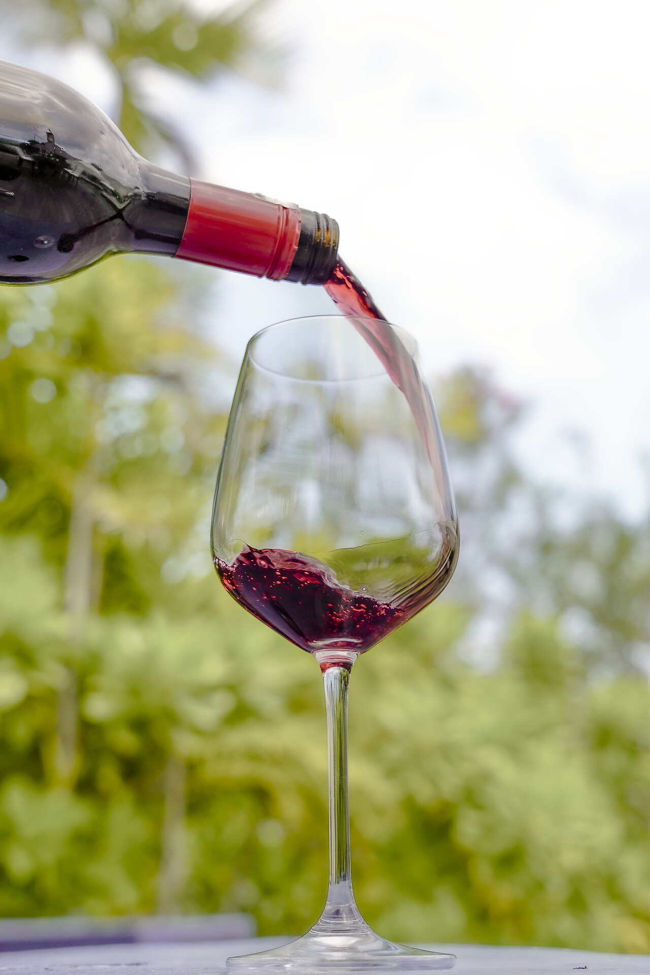 Art & Wine