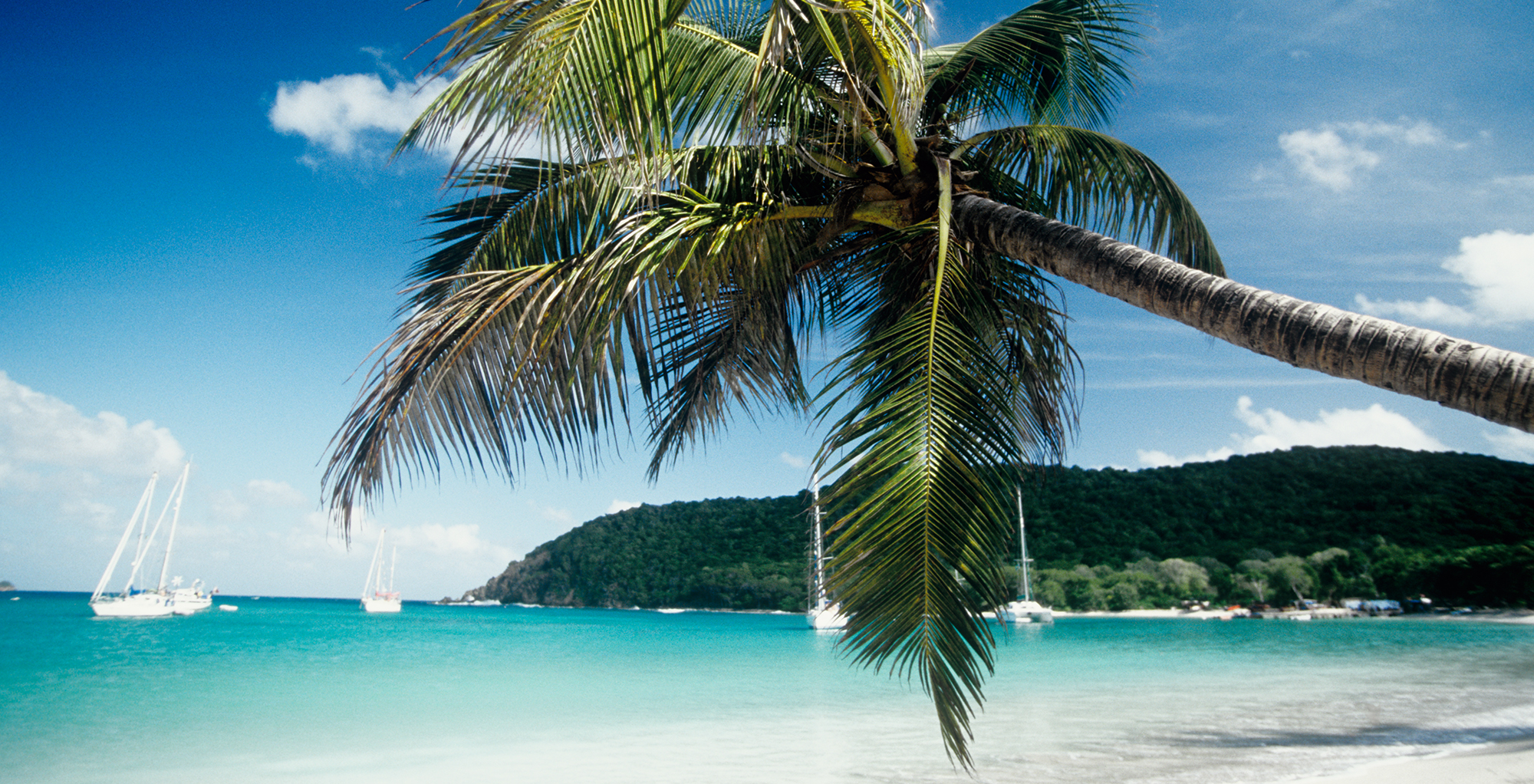 All inclusive-resor till Karibien | Club Med